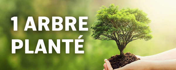 Un arbre planté