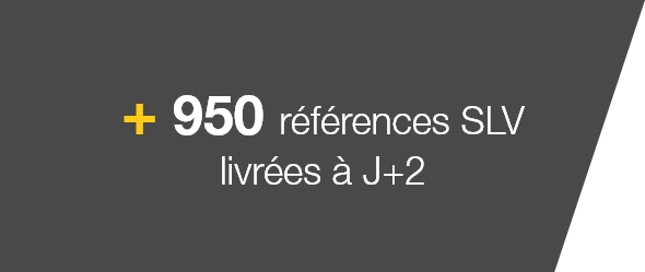 +950 références SLV livrés à J+2
