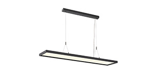 SUSPENSIONS WORKLIGHT