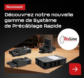 Legrand Cartouche Fusible Industrielle G 10x38mm 4A Sans Voyant - Lot De 10 - 500V 100kA