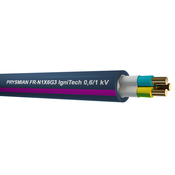 IgniTech Isy