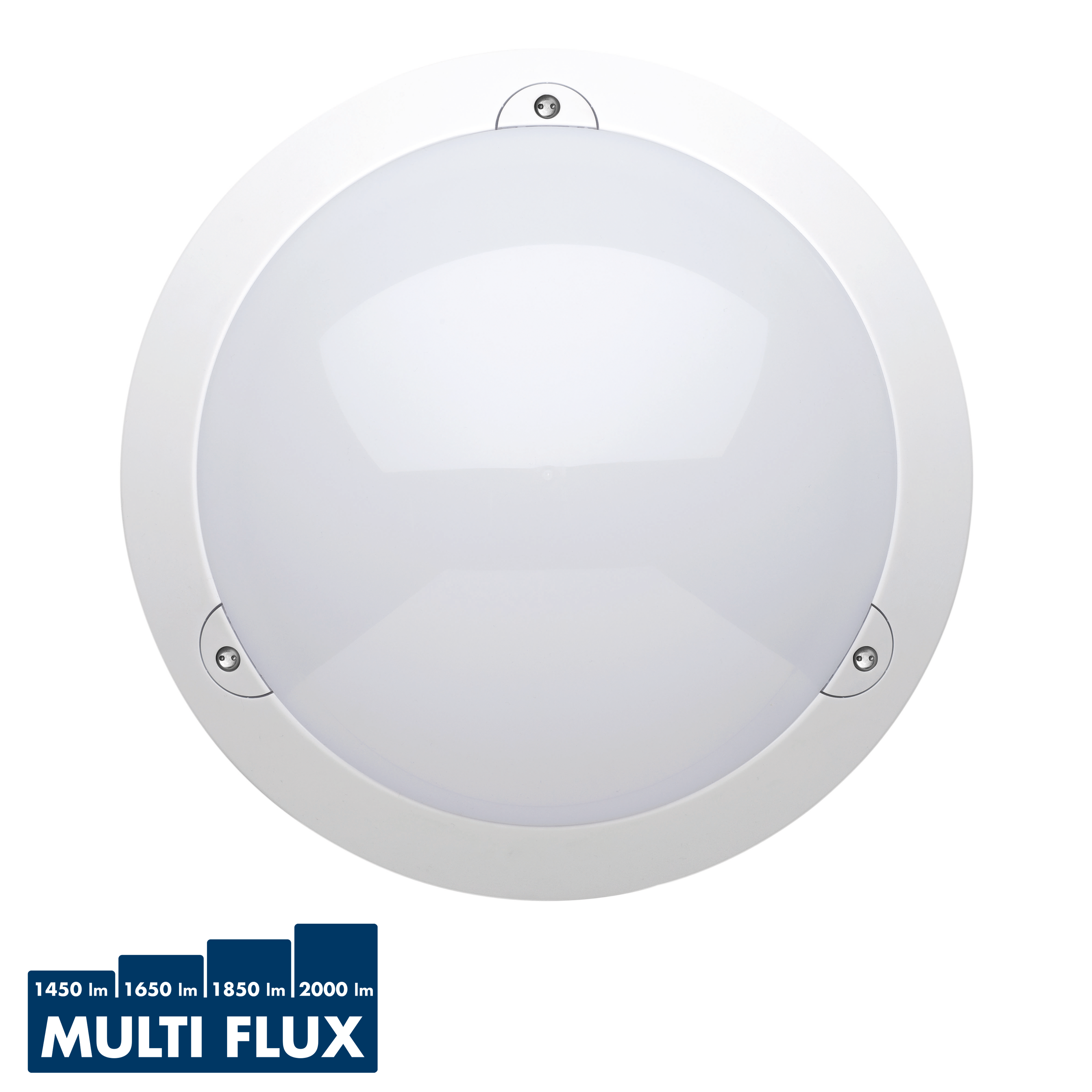 VOILA Performance Multiflux